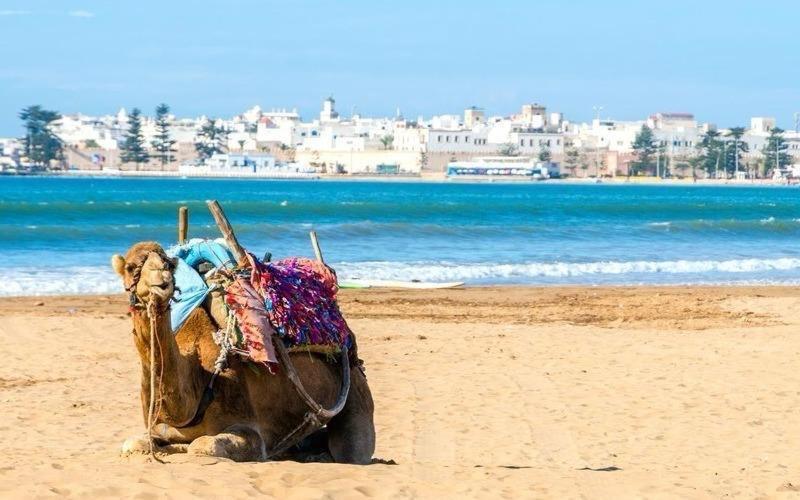 Appartement Essaouira Proche De La Mer Extérieur photo
