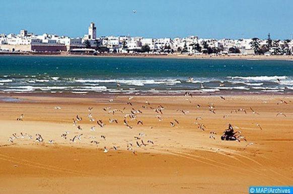 Appartement Essaouira Proche De La Mer Extérieur photo
